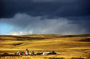 Nagqu Chiangtang Plateau Grassland